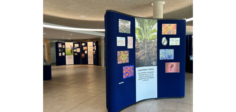 Ausstellung Kein Leben ohne Natur Bild des Foyers beim Landkreis mit Elementen der Ausstellung