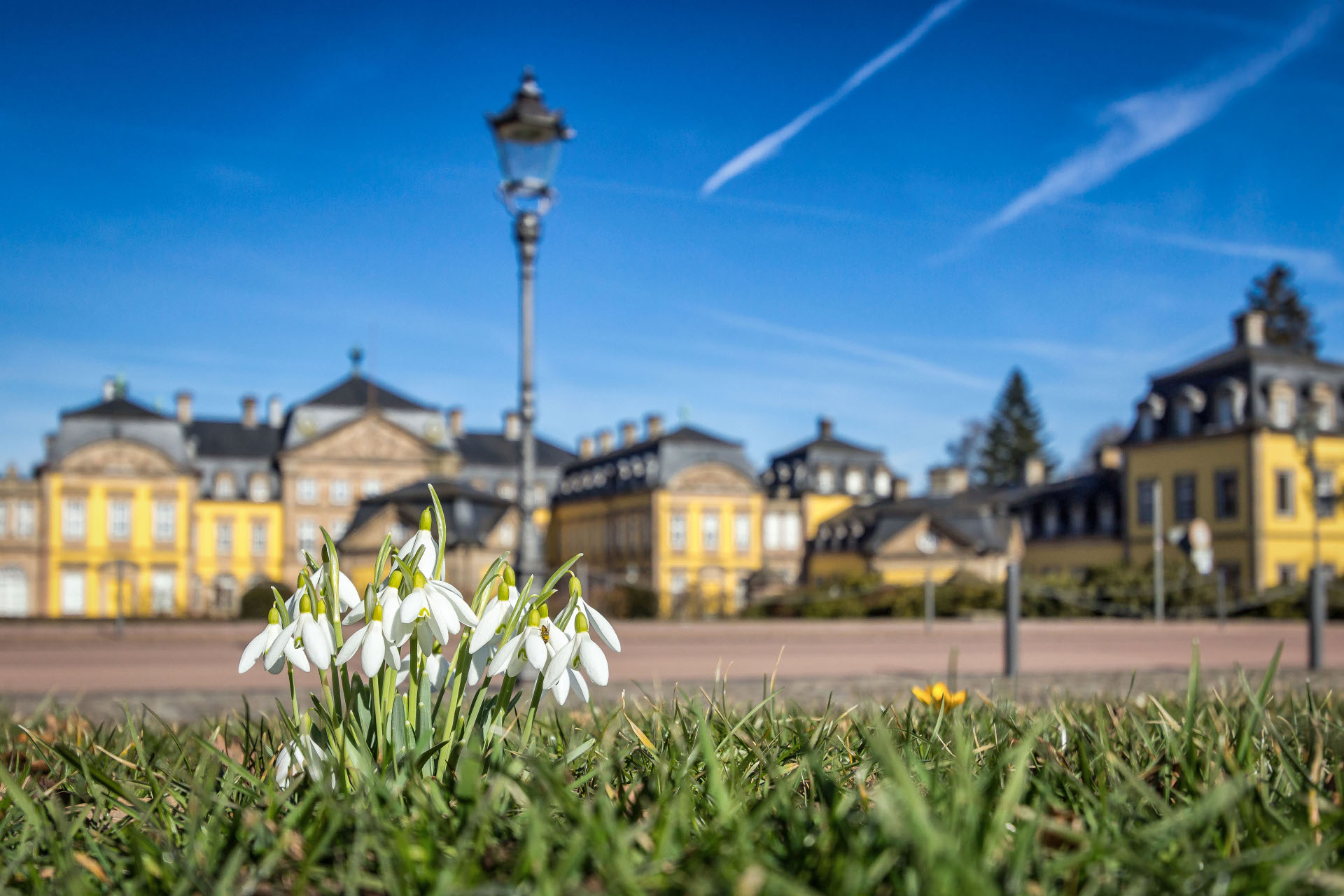 Schneeglöckchen vor dem Residenzschloss Arolsen