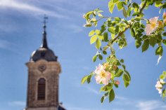 Kirchturm der Stadtkirche Bad Arolsen