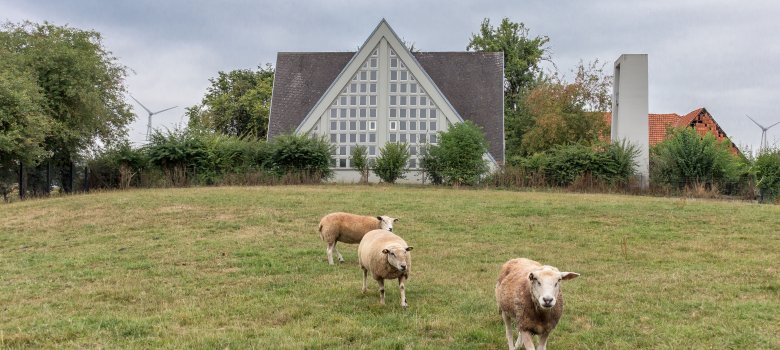 Kirche Kohlgrund Kirche Kohlgrund mit Schafen im Vordergrund