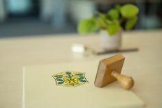 Ein Dokument mit dem Wappen von Bad Arolsen auf einem Tisch, daneben ein Holzstempel. Im Hintergrund ist eine Pflanze zu sehen.