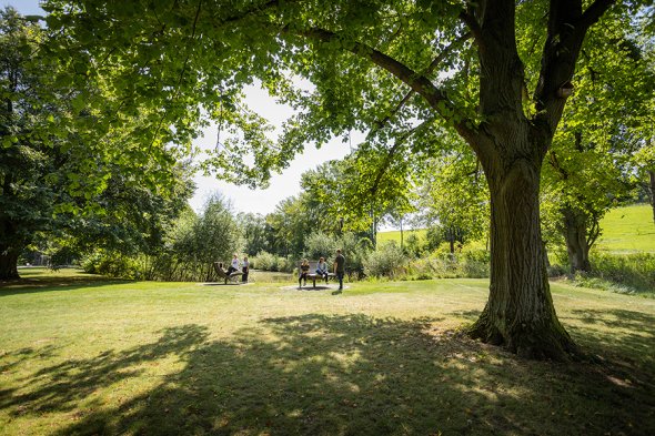 Gruppe von Personen im Natur- und Erholungsbereich der Thiele-Aue