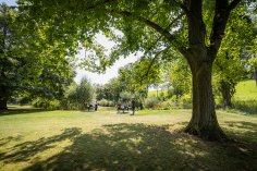 Thiele-Aue Gruppe von Personen im Natur- und Erholungsbereich der Thiele-Aue