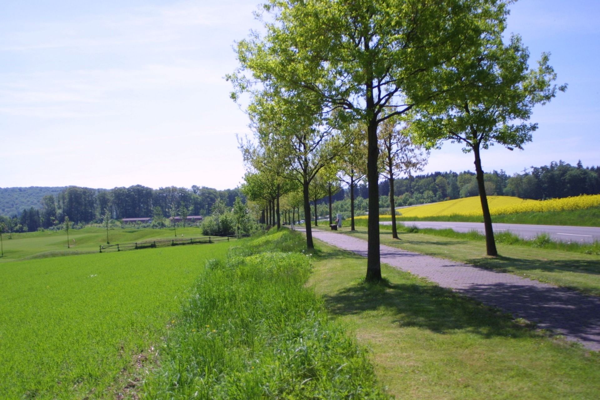Landschaft Landschaft mit Wiesen und Bäumen