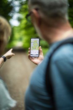 Wanderweg Personen sehen sich auf dem Smartphone eine Wanderroute an