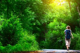 Geführte Wanderung in und um Bad Arolsen