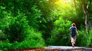 Day trips in the region