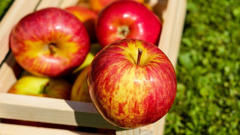 2. Landauer Herbst- und Apfelfest