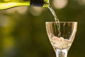 Vinum et musica - 1. Neu-Bericher Weinfest