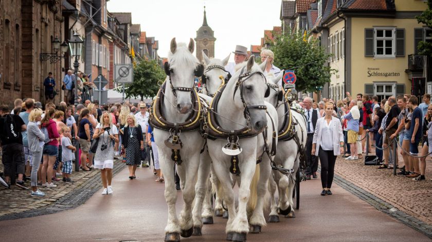 Jetzt anmelden zum Viehmarktsfestzug