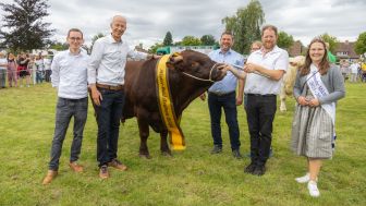 Anmeldungen zum Viehauftrieb noch bis 25.06.2025 möglich