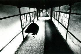 Japanische Fotografie der 60er Jahre 