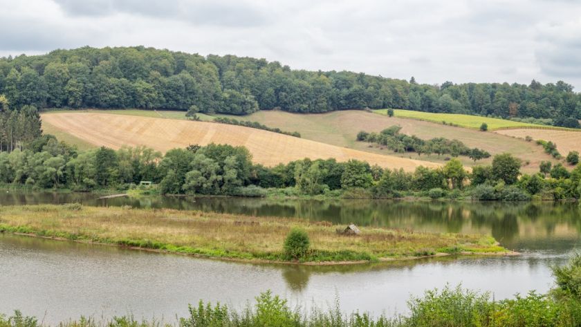 Das Vogelparadies am Twisteseevorstau